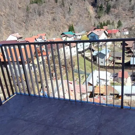 Studio Jacuzzi Belle View Sinaia-Free Parking Exterior foto