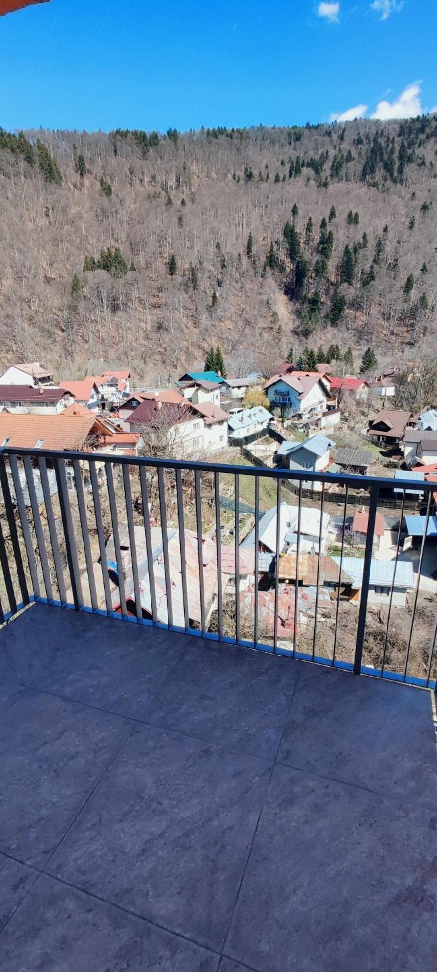 Jacuzzi Belle View Sinaia-free Parking *
